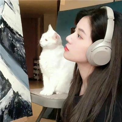 力王之真正敌人
